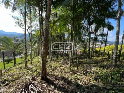 Lote/Terreno à venda, 6917m² no Aimoré, Guabiruba