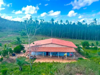 Casa com 4 Quartos à venda, 56628m² no , Araças
