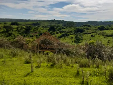 Fazenda/Sítio à venda, 1m² no , Garça
