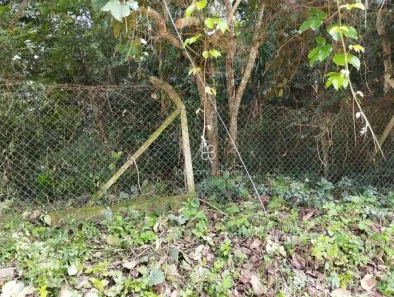Lote/Terreno à venda, 1000m² no Jardim Colibri, Cotia