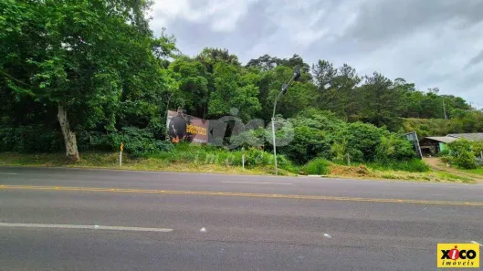 Lote/Terreno à venda, 1176m² no Nova Petrópolis, Nova Petrópolis