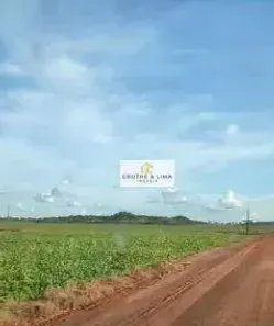 Fazenda/Sítio com 10 Quartos à venda, 900m² no Goiatins, Goiatins