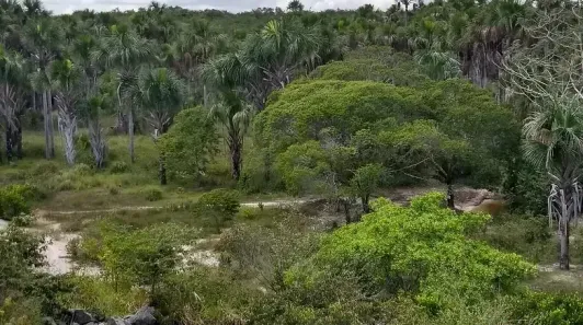 Lote/Terreno à venda, 1010000m² no , Santo Amaro do Maranhão