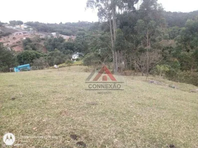 Lote/Terreno à venda, 42951m² no Palmeiras de São Paulo, Suzano
