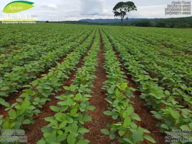 Fazenda/Sítio com 4 Quartos à venda, 1137400m² no , Mairipotaba