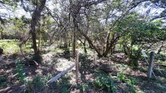 Lote/Terreno à venda, 382m² no Pântano do Sul, Florianópolis