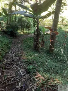 Fazenda/Sítio com 4 Quartos à venda, 61000m² no , Monteiro Lobato