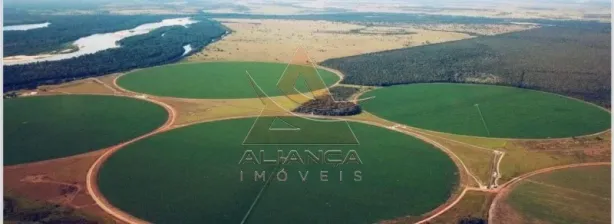 Fazenda/Sítio com 6 Quartos à venda, 49260000m² no Área Rural de Britânia, Britânia