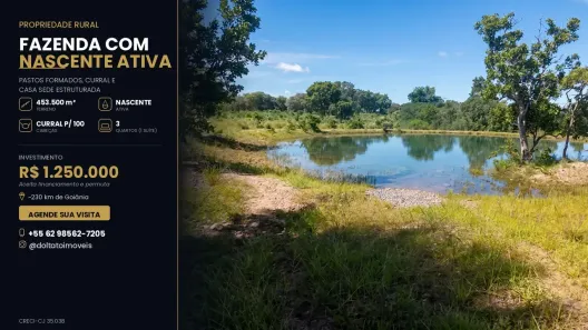 Fazenda/Sítio com 3 Quartos à venda, 250m² no , Faina