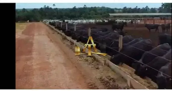 Fazenda/Sítio com 1 Quarto à venda, 100m² no Área Rural de Unaí, Unaí