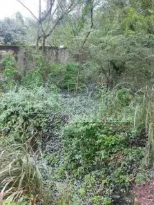 Lote/Terreno à venda, 1159m² no Grajaú, Rio de Janeiro