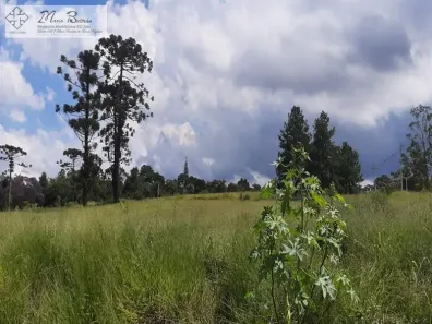 Lote/Terreno à venda, 207473m² no Jardim Santa Paula, Cotia