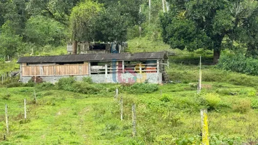 Fazenda/Sítio com 1 Quarto à venda, 100000000m² no , Ibirataia
