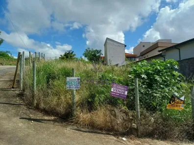 Lote/Terreno à venda, 295m² no Viana, Santa Rita do Sapucaí