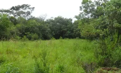 Lote/Terreno à venda, 45000m² no , Entre Rios de Minas