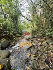 Fazenda/Sítio à venda, 30162m² no Pedra Branca do Araraquara, Guaratuba