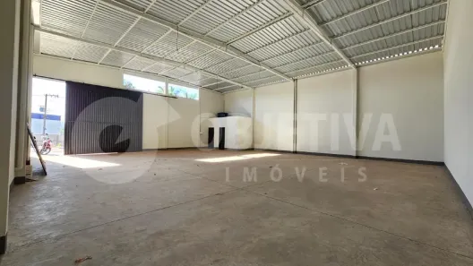 Galpão/Depósito/Armazém para alugar, 250m² no Dona Zulmira, Uberlândia