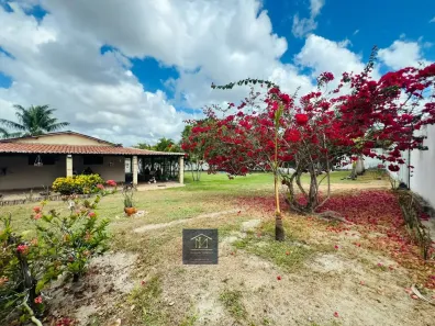 Fazenda/Sítio com 2 Quartos à venda, 7000m² no Centro, Macaíba