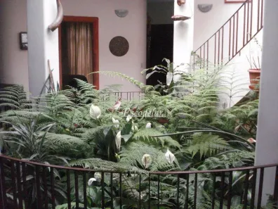 Casa com 4 Quartos à venda, 450m² no Sumaré, São Paulo