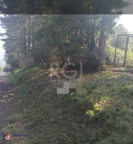 Lote/Terreno à venda, 4000m² no Lomba do Pinheiro, Porto Alegre