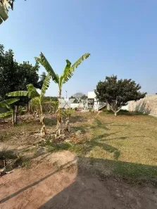 Galpão/Depósito/Armazém à venda, 1000m² no , Itirapina