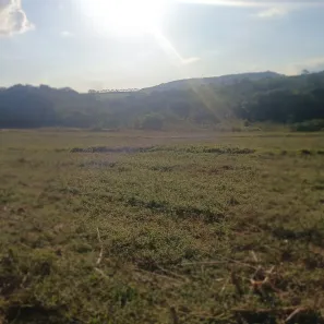 Fazenda/Sítio à venda, 48400m² no , Santo Antônio da Alegria