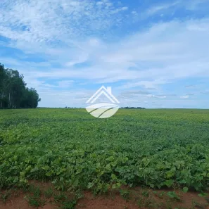 Fazenda/Sítio à venda, 1640000m² no , Araguacema