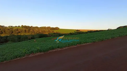 Fazenda/Sítio com 4 Quartos à venda, 654m² no Alto Alegre, Cascavel