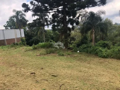 Lote/Terreno à venda, 391m² no Pinhal Alto, Nova Petrópolis