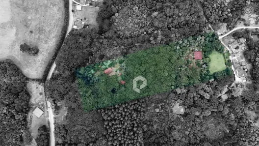 Fazenda/Sítio à venda, 36644m² no Bateias, Campo Largo
