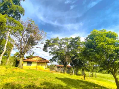 com 3 Quartos à venda, 60000m² no Campo de Boituva, Boituva