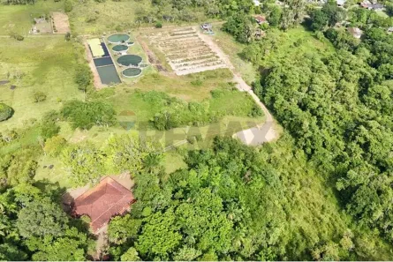 com 3 Quartos à venda, 73000m² no Centro, Itariri
