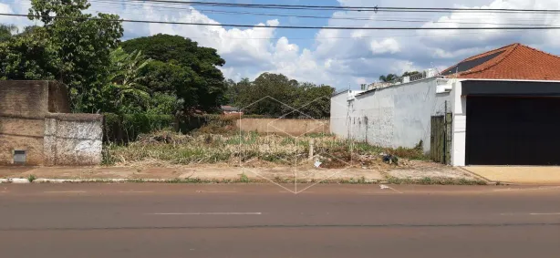 Lote/Terreno à venda, 450m² no Jardim Rosa Branca, Jaú