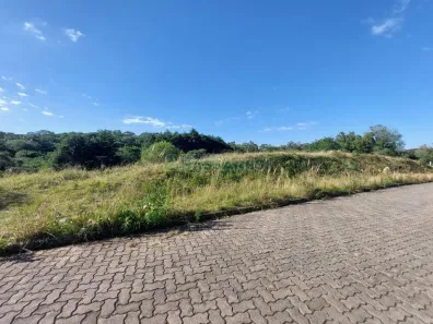 Lote/Terreno à venda, 10000m² no São Ciro, Caxias do Sul