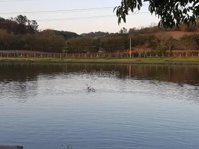 Fazenda/Sítio com 4 Quartos à venda, 400m² no Sousas, Campinas