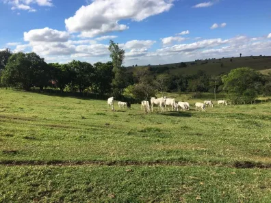 Fazenda/Sítio com 2 Quartos à venda, 65m² no Área Rural de Tatuí, Tatuí