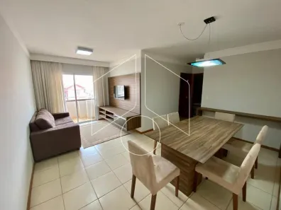 Apartamento com 2 Quartos para alugar, 15m² no Alto Cafezal, Marília