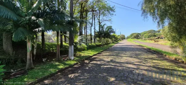 Fazenda/Sítio com 2 Quartos à venda, 300m² no Núcleo Habitacional Afonso Alves de Camargo, Apucarana