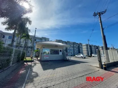 Apartamento com 2 Quartos para alugar, 46m² no Picadas do Sul, São José