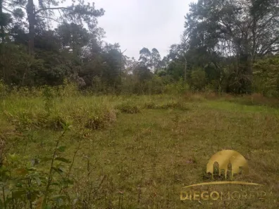 Fazenda/Sítio com 2 Quartos à venda, 60000m² no Jundiaizinho (Terra Preta), Mairiporã
