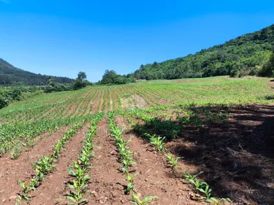 Fazenda/Sítio à venda, 58000m² no Centro, Gramado