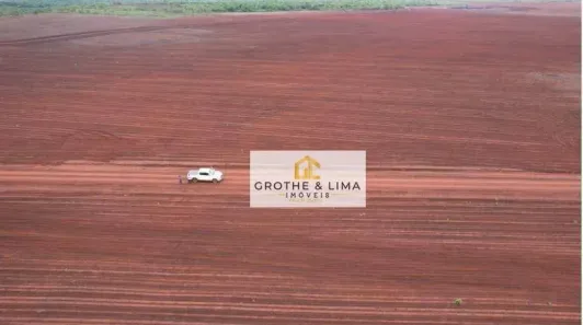 Fazenda/Sítio com 10 Quartos à venda, 900m² no , Pedro Afonso