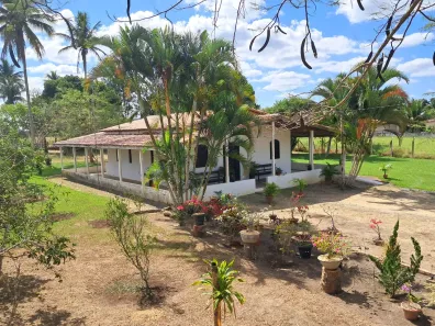 Fazenda/Sítio com 2 Quartos à venda, 9801m² no , Coração de Maria