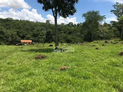 Fazenda/Sítio com 3 Quartos à venda, 242000m² no , Pirenópolis
