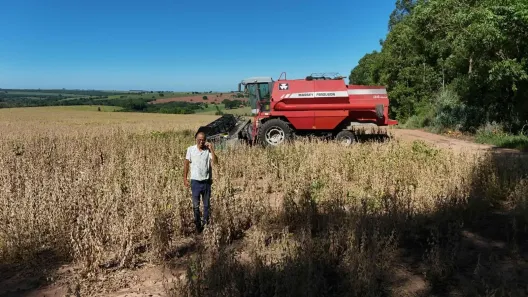 com 2 Quartos à venda, 300m² no Área Rural de Echaporã, Echaporã