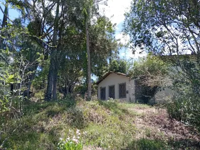 Fazenda/Sítio à venda, 15000m² no Guarabira, Guarabira
