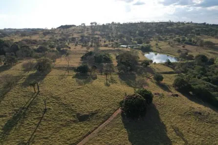 Fazenda/Sítio com 2 Quartos à venda, 464156m² no Jardim Floresta, Trindade