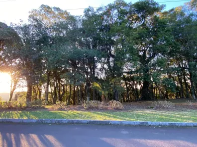 Imóvel Comercial à venda, 1435m² no Centro, Gramado