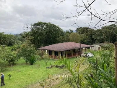 Fazenda/Sítio com 5 Quartos à venda, 140m² no , Morretes