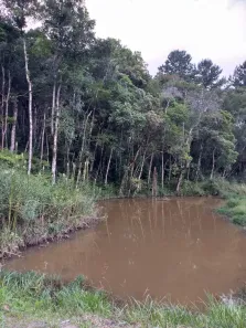 Lote/Terreno à venda, 5000m² no Centro, Juquitiba